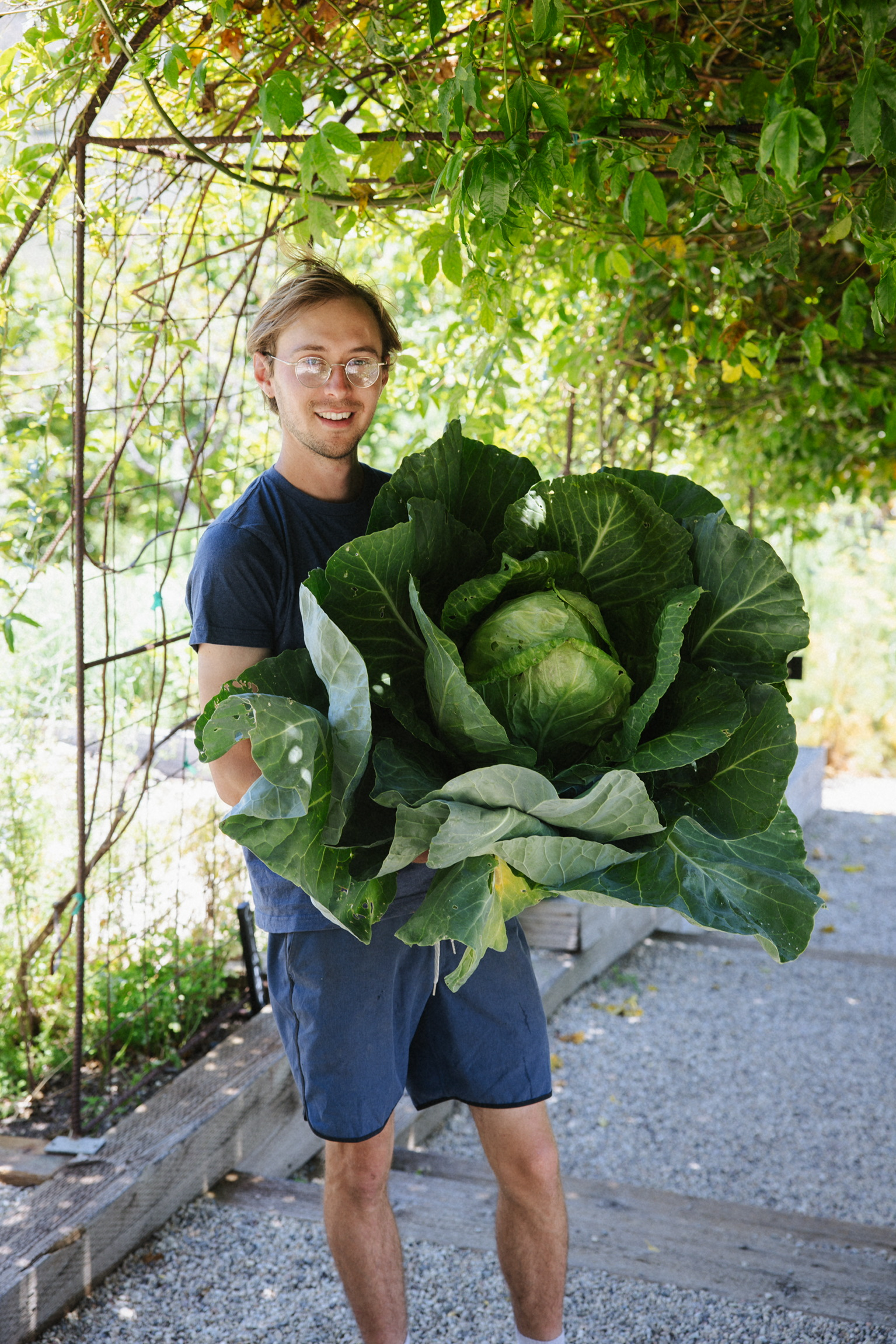 Young man in a blue shirt with glasses smiles while holding a giant green cabbage outdoors.