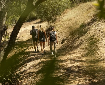 Three hikers walking away on a sunny dirt trail through a wooded hillside with backpacks at The Ranch Wellness Retreats.