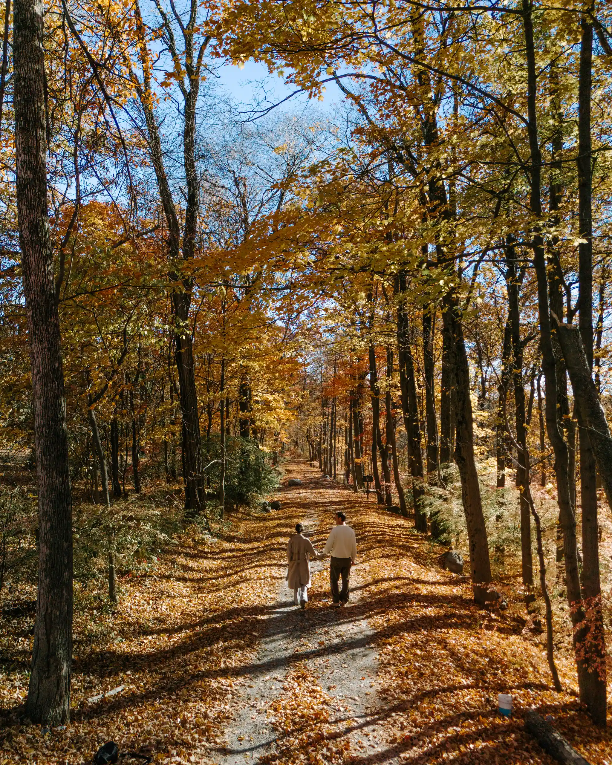 Couple holding hands and walking along a leaf-covered forest path in autumn sunlight.