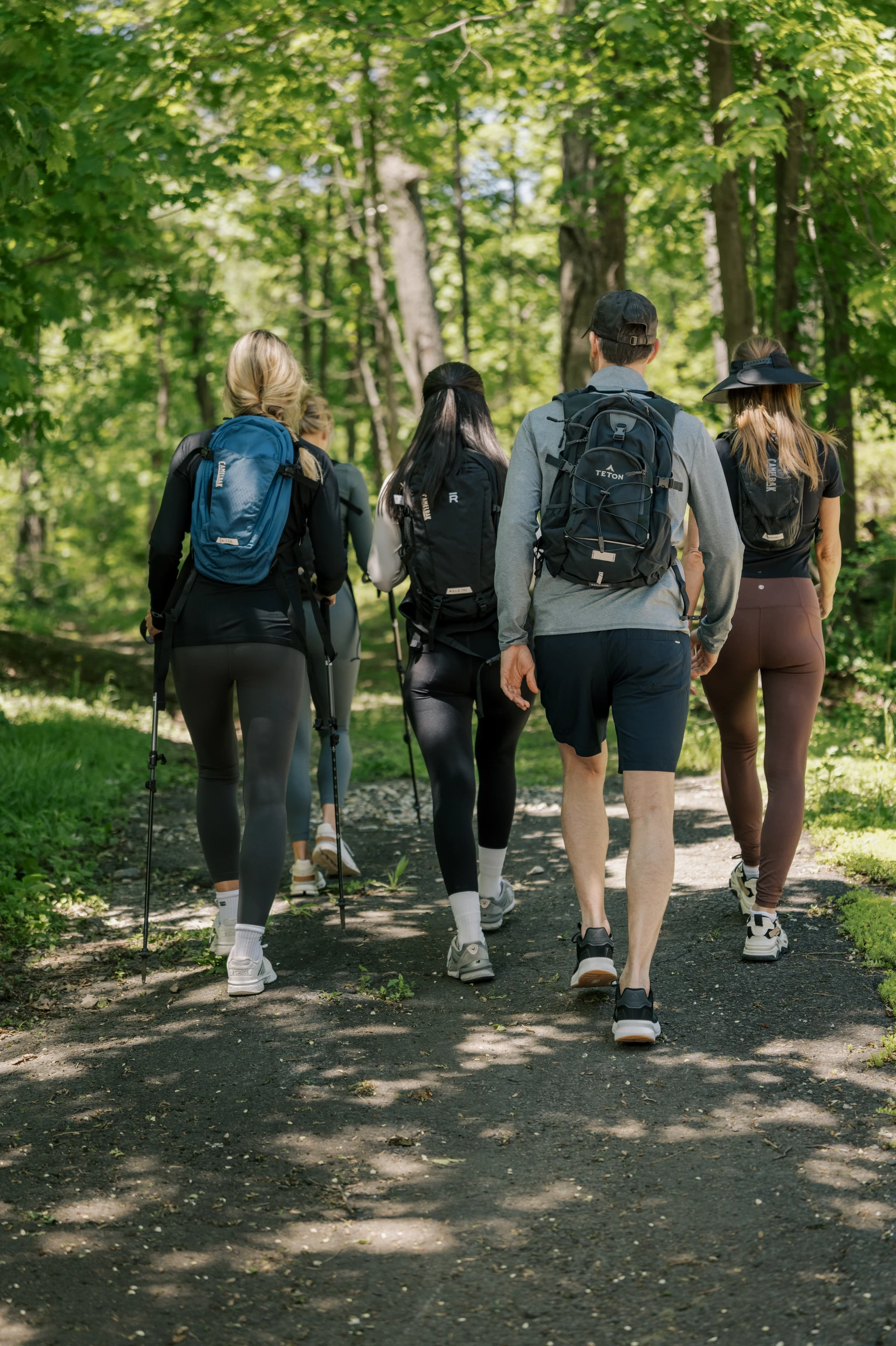 Group of five hikers walking away on a forest trail with backpacks, sunlight filtering through green trees in a leafy path.