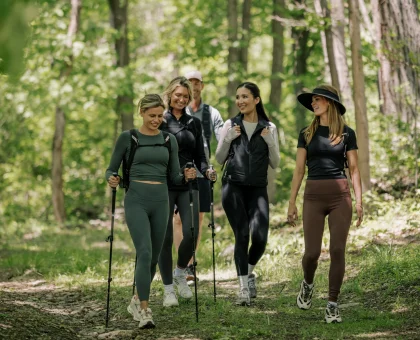 Group of five hikers walking along a forest trail with trekking poles in a sunlit woodland that's lush and green