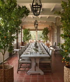 Long dining table in a sunlit conservatory, flanked by orange trees in baskets with place settings and glasses.