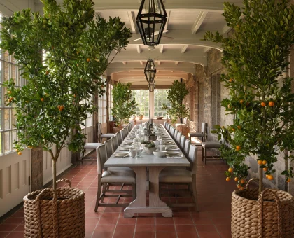 Long dining table in a sunlit conservatory, flanked by orange trees in baskets with place settings and glasses.