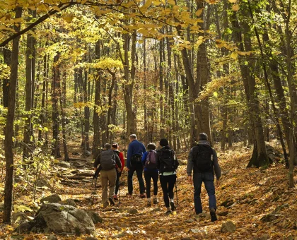 Group of hikers with backpacks walking along a rocky autumn trail through a sunlit forest.