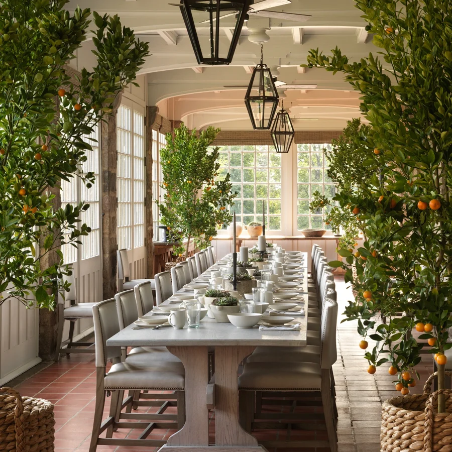 Long dining table set for a meal in a conservatory, with citrus trees in pots along the sides.