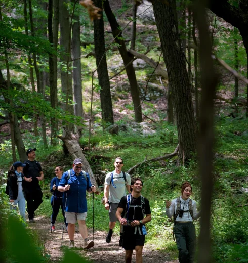 Group of hikers walking along a forest trail with backpacks beneath green trees.