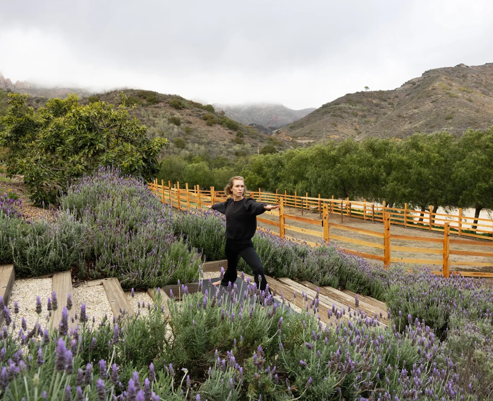 Woman in a black top stands in a lavender garden with purple flowers and a wooden fence, hills in the background under a cloudy sky.
