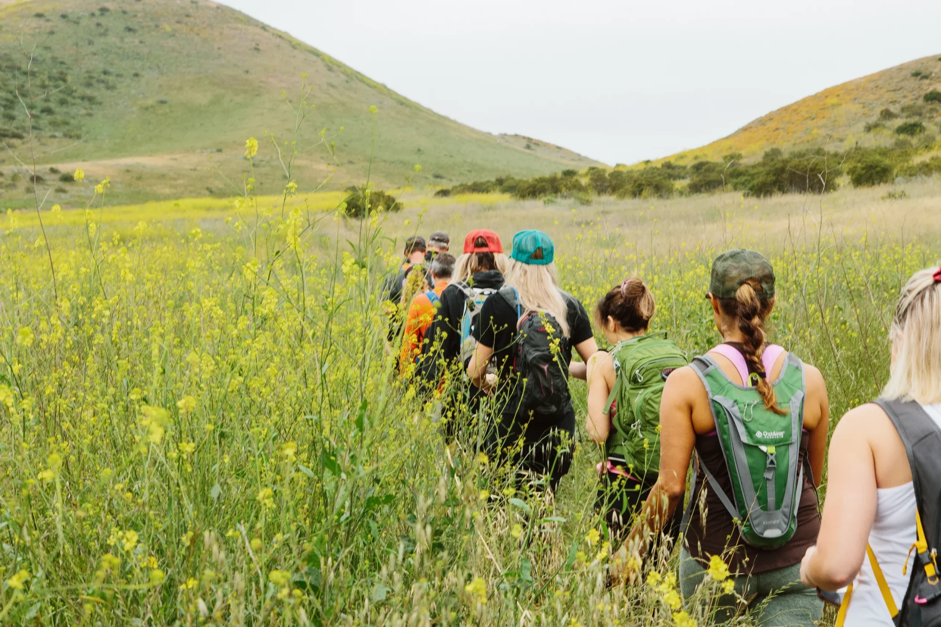 Hikers with backpacks walking through a yellow wildflower meadow toward rolling hills in the distance, seen from behind.