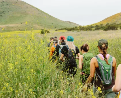 Hikers with backpacks walking through a yellow wildflower meadow toward rolling hills in the distance, seen from behind.
