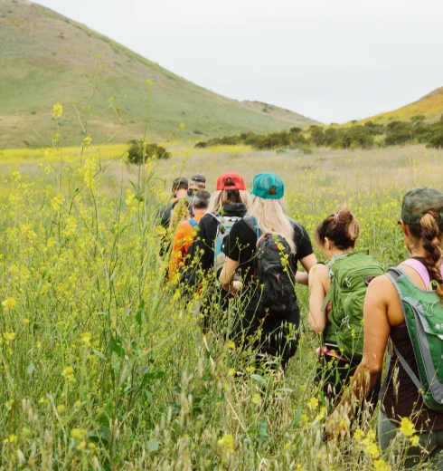 Hikers with backpacks walking through a yellow wildflower meadow toward rolling hills in the distance, seen from behind.