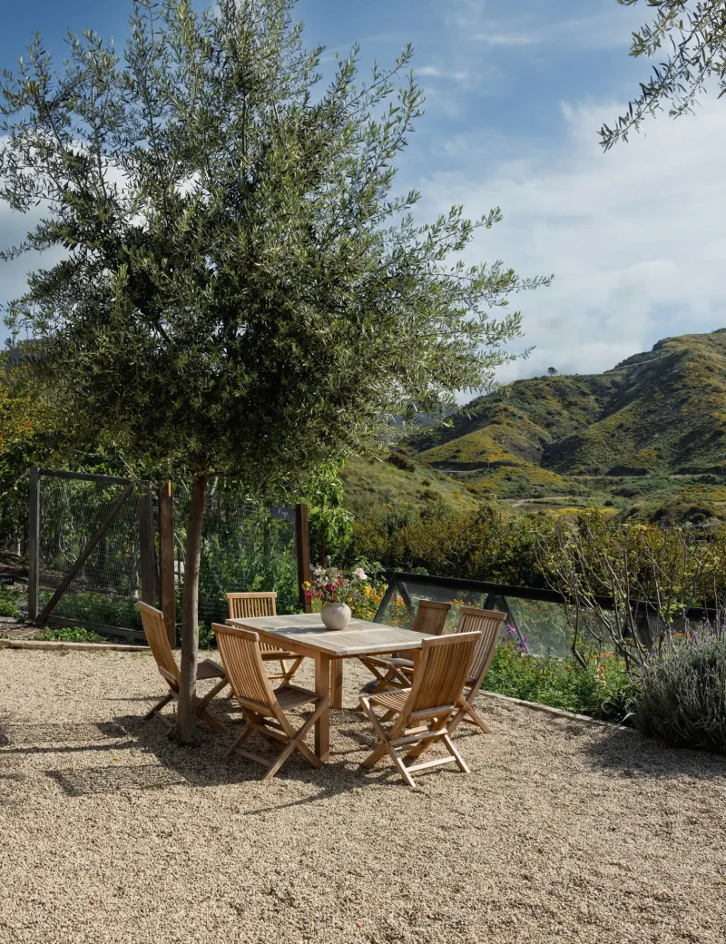 Outdoor dining area with a wooden table and chairs under a leafy tree on a gravel surface, rolling hills in the distance.