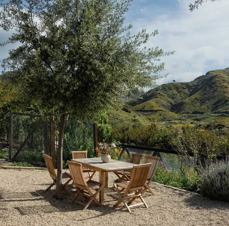 Outdoor dining area with a wooden table and chairs under a leafy tree on a gravel surface, rolling hills in the distance.