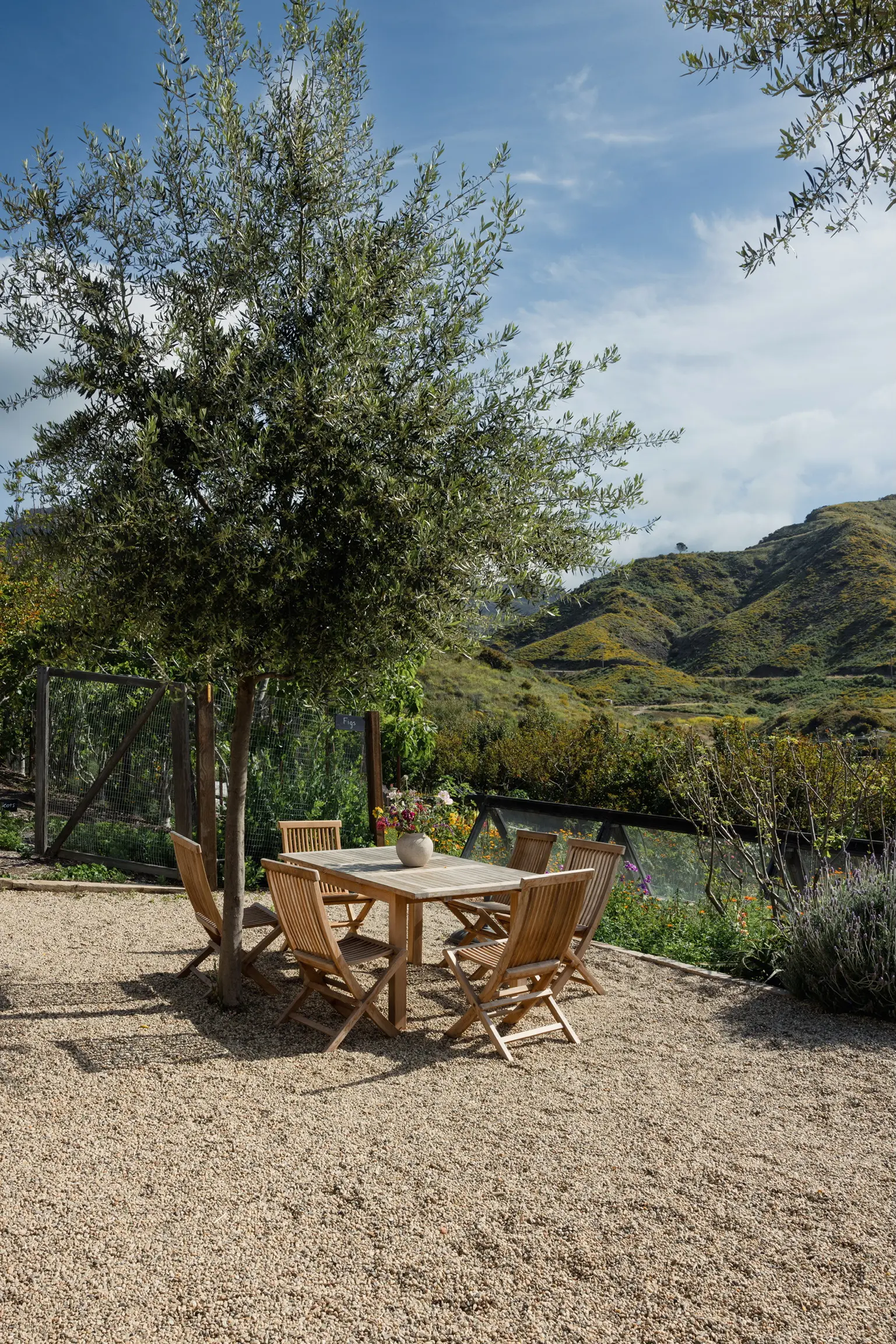 Outdoor dining area with a wooden table and chairs under a leafy tree on a gravel surface, rolling hills in the distance.