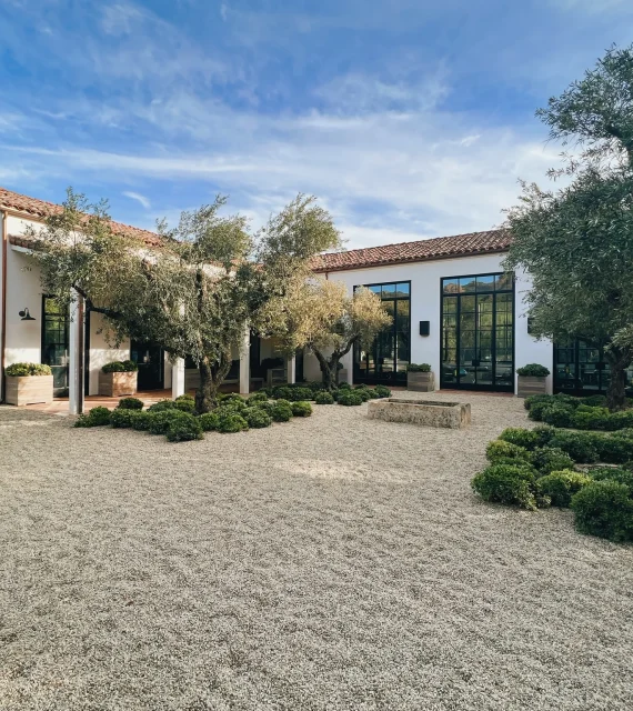 White modern building with large black-framed windows, red-tile roof, and olive trees in a gravel courtyard. The scene is sunny and spacious.