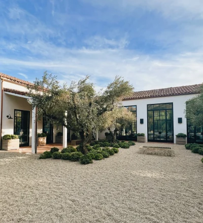 White modern building with large black-framed windows in a gravel courtyard, olive trees, and a blue sky above.