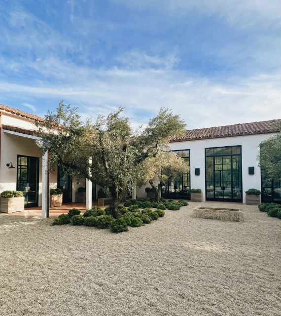 White modern building with large black-framed windows in a gravel courtyard, olive trees, and a blue sky above.