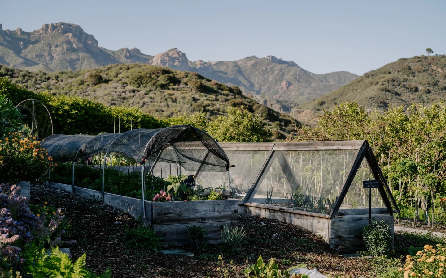 Gardening beds and hoop houses in a valley with rocky hills and mountains in the distance under a clear blue sky.