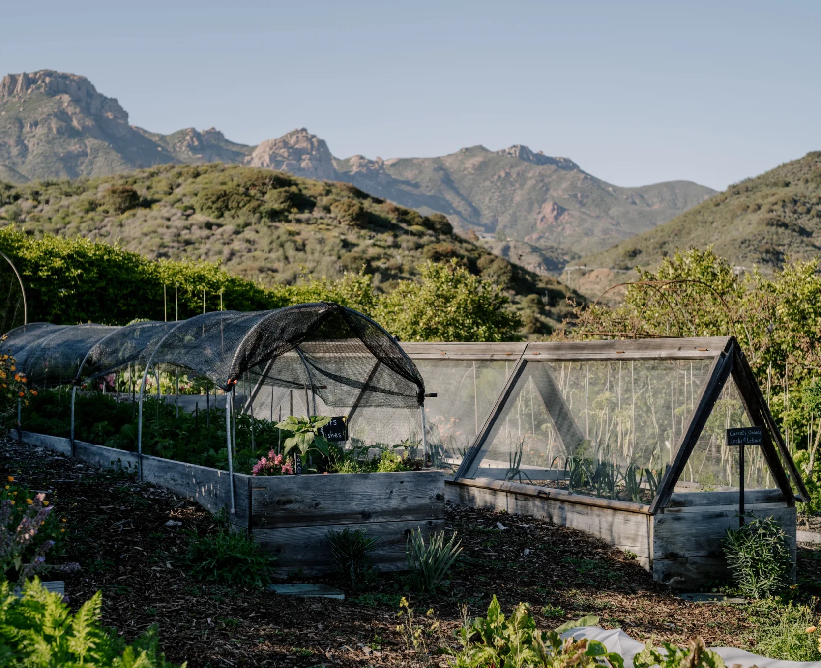 Gardening beds and hoop houses in a valley with rocky hills and mountains in the distance under a clear blue sky.