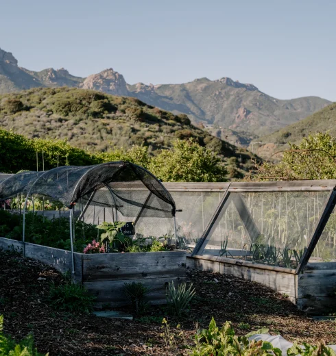 Gardening beds and hoop houses in a valley with rocky hills and mountains in the distance under a clear blue sky.