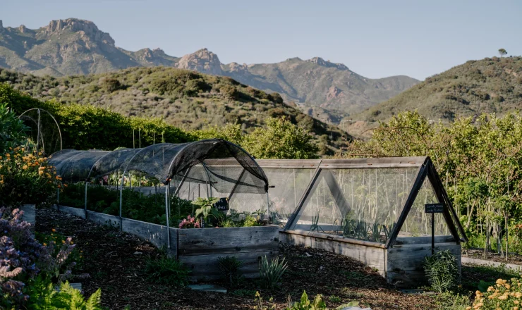 Gardening beds and hoop houses in a valley with rocky hills and mountains in the distance under a clear blue sky.