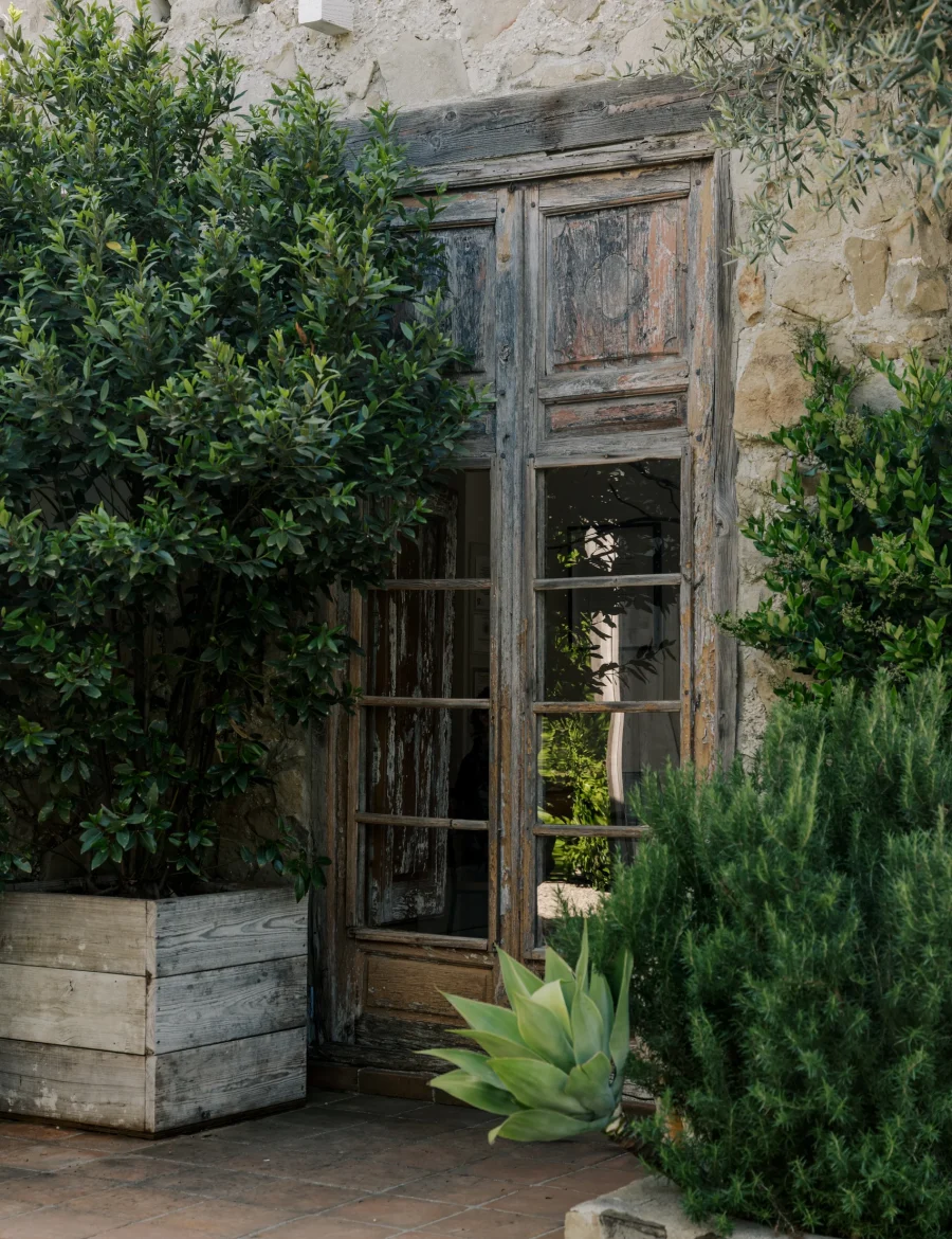 Weathered wooden door set in a stone wall, flanked by green shrubbery and plants as vines creep around.