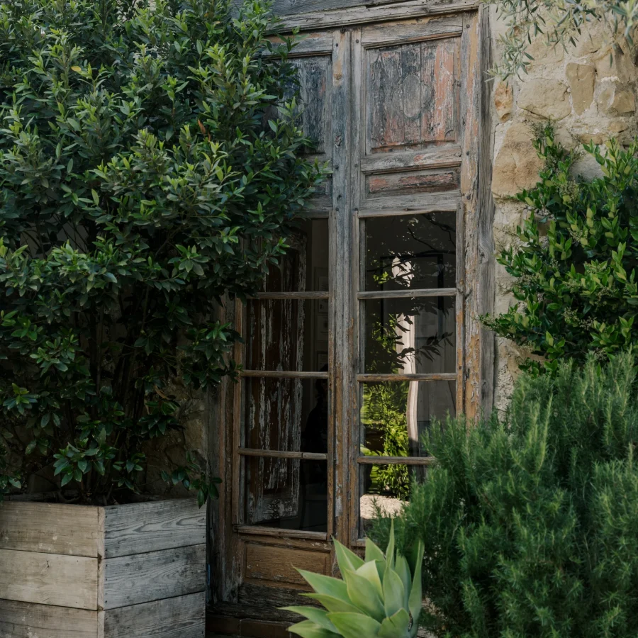 Weathered wooden door set in a stone wall, flanked by green shrubbery and plants as vines creep around.