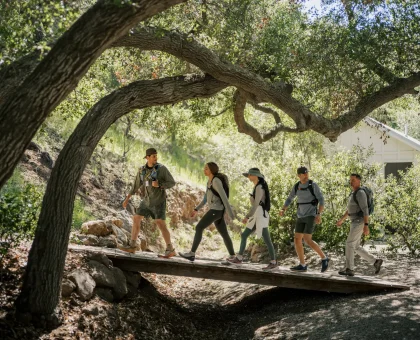 Group of hikers crossing a wooden bridge under a leafy tree in a forest setting.