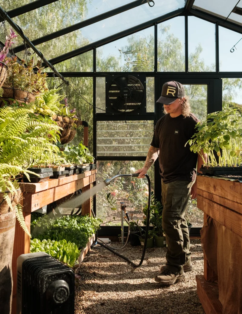 Man watering plants with a hose inside a greenhouse filled with hanging and potted plants.