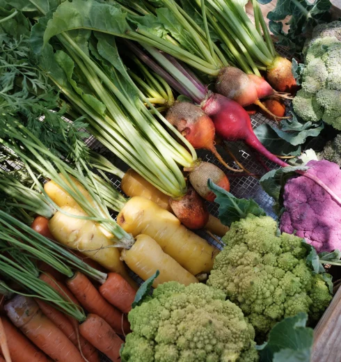 Assorted fresh vegetables at a market: carrots, beets, yellow and orange roots, and green broccoli florets laid out together.