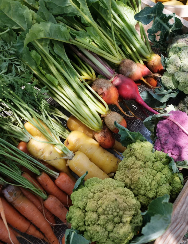 Assorted fresh vegetables at a market: carrots, beets, yellow and orange roots, and green broccoli florets laid out together.