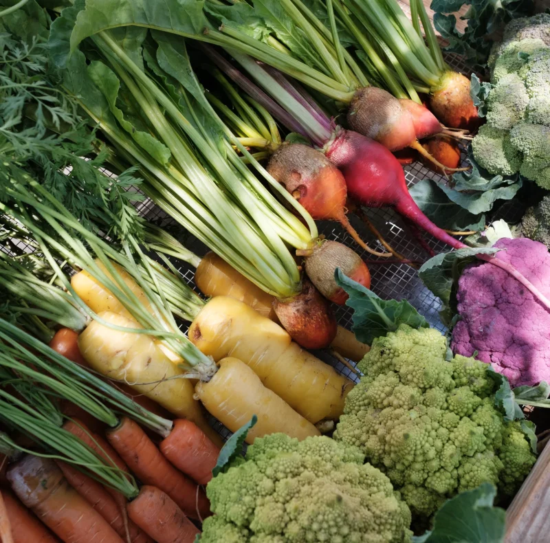 Assorted fresh vegetables at a market: carrots, beets, yellow and orange roots, and green broccoli florets laid out together.