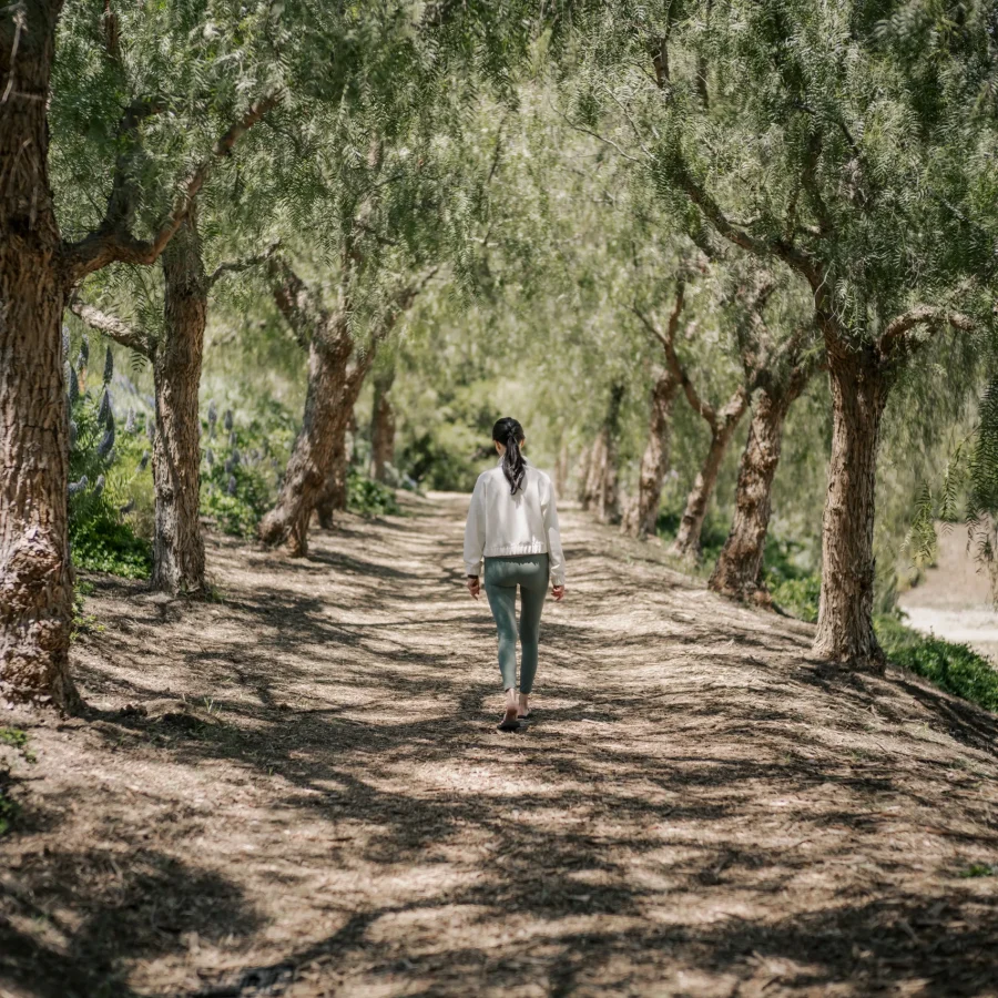 Person walking away along a dirt path under overhanging green trees, lined with trunks on both sides.