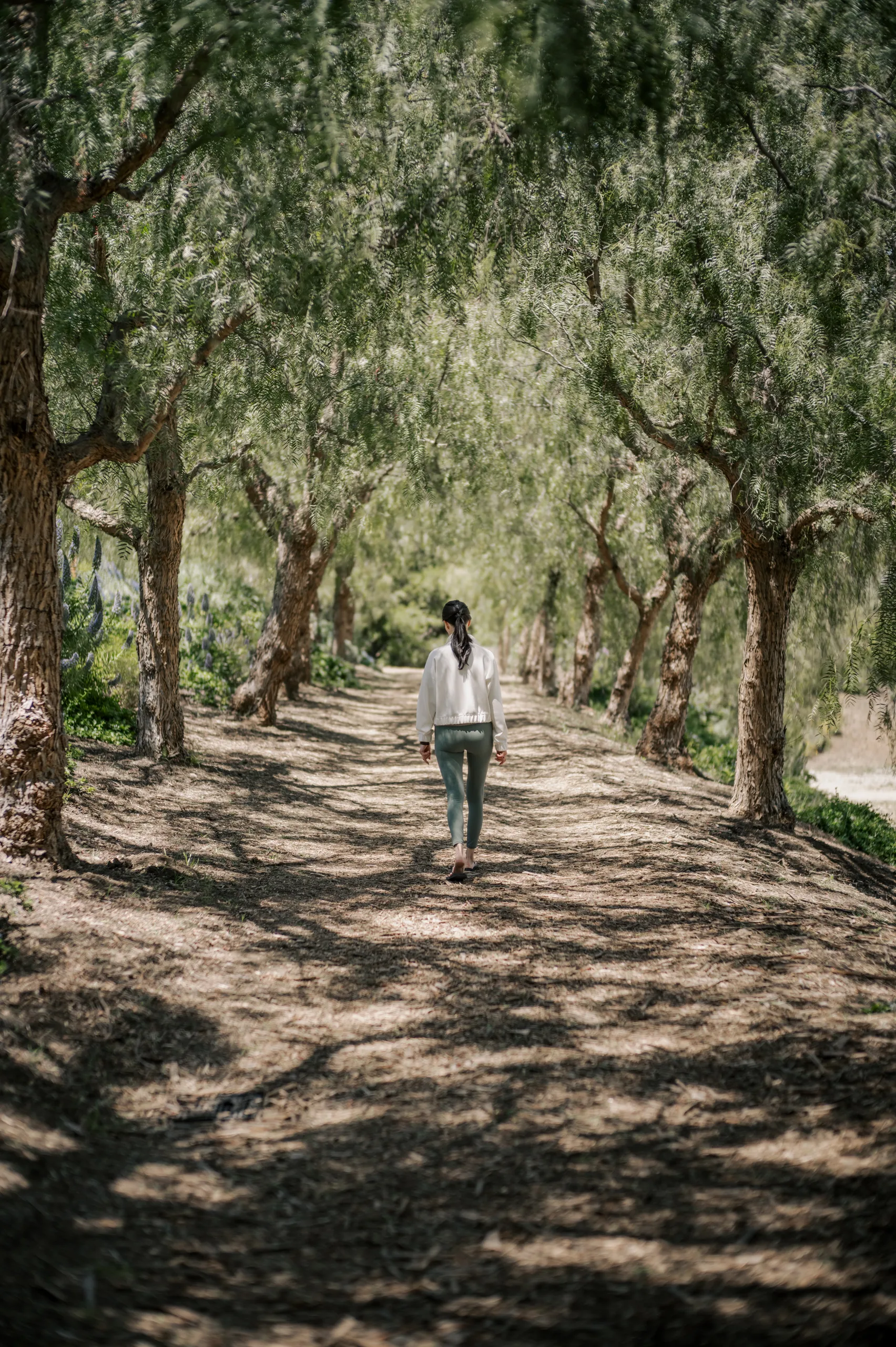 Person walking away along a dirt path under overhanging green trees, lined with trunks on both sides.