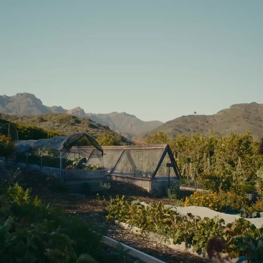 Garden with raised beds and a greenhouse, mountains in the distance under a clear blue sky.
