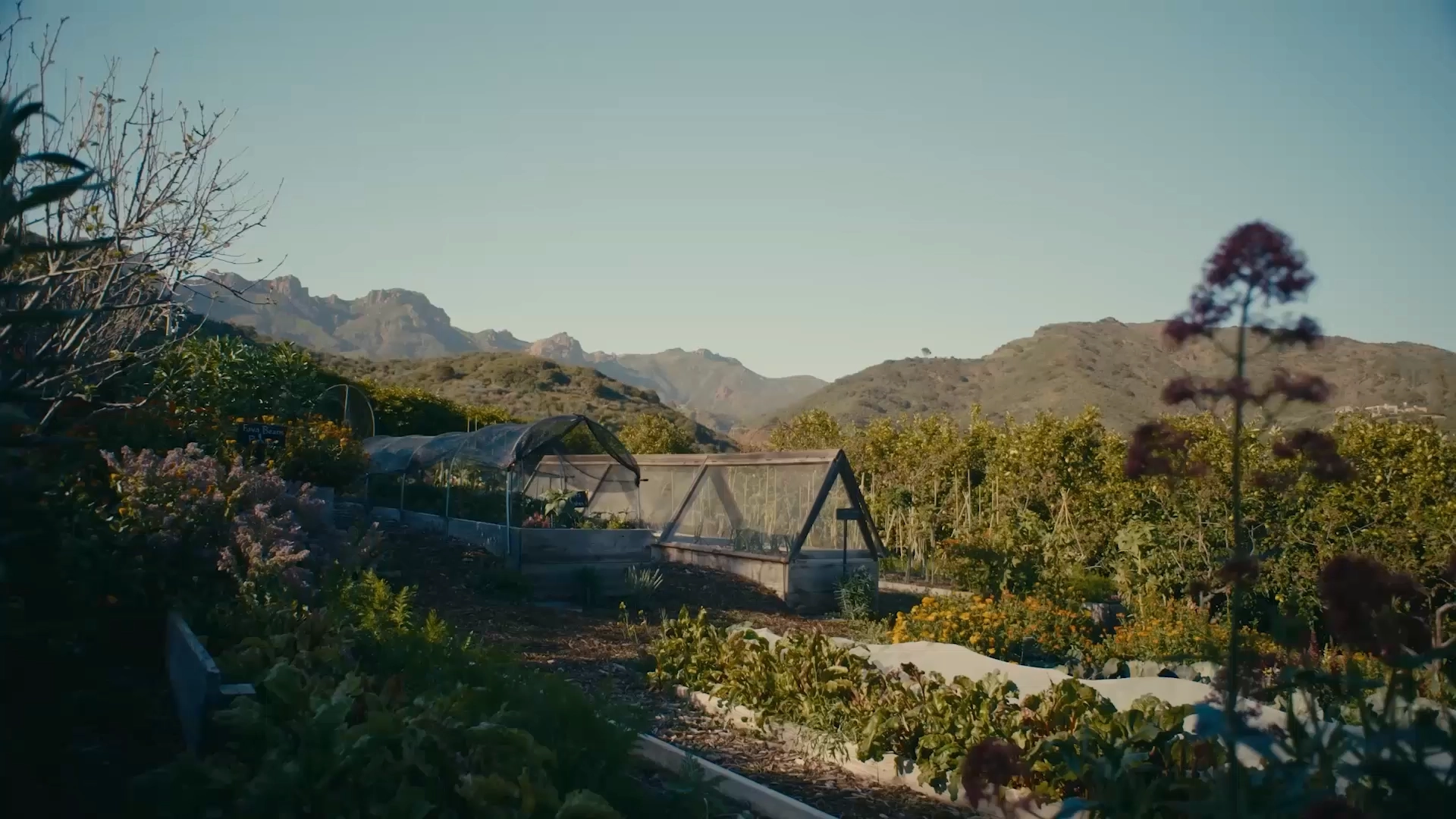 Garden with raised beds and a greenhouse, mountains in the distance under a clear blue sky.