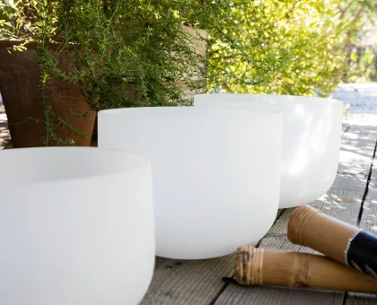 White rounded planters with lush green foliage on a wooden deck, with wicker items nearby.