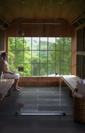 Man sits shirtless on a wooden bench inside a bright sauna, looking toward the large window offering a green outdoor view