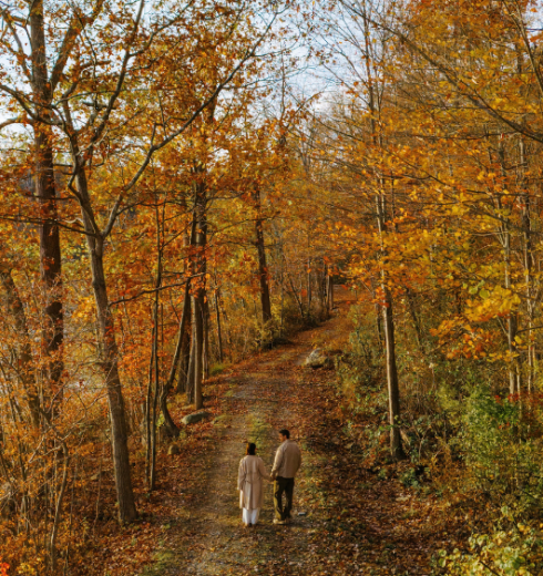 Two people walk a leaf-covered forest trail in autumn colors.