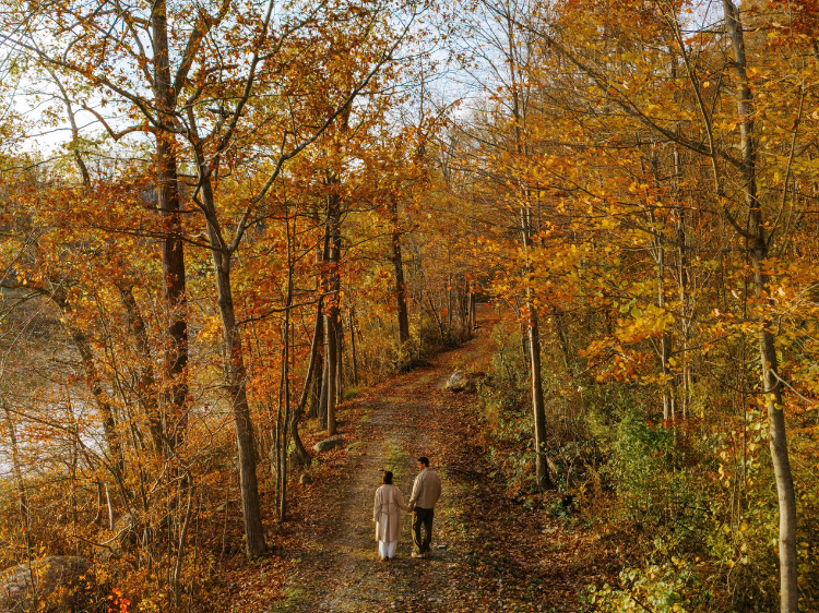 Two people walk a leaf-covered forest trail in autumn colors.