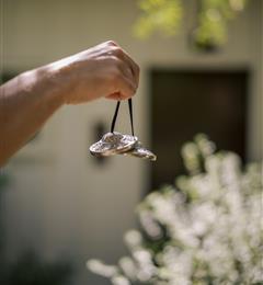 morning chimes