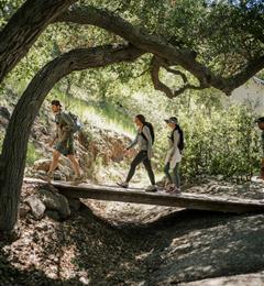 Group hiking along wooden bridge