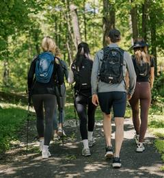 A group of five hikers from behind