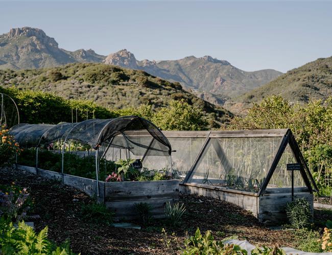 sustainable garden 