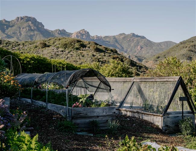 sustainable garden