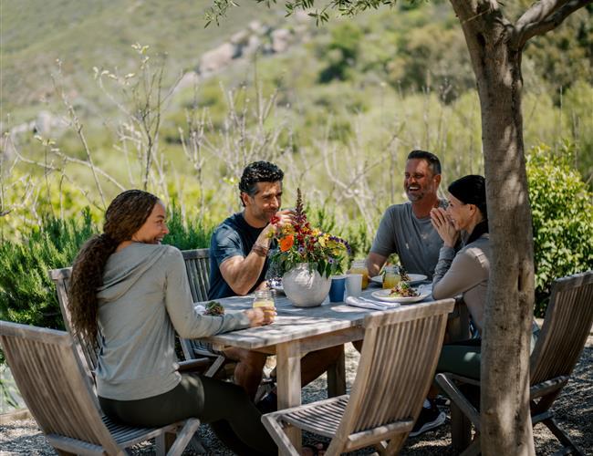 A group dining midday at a long table with succulent centerpieces