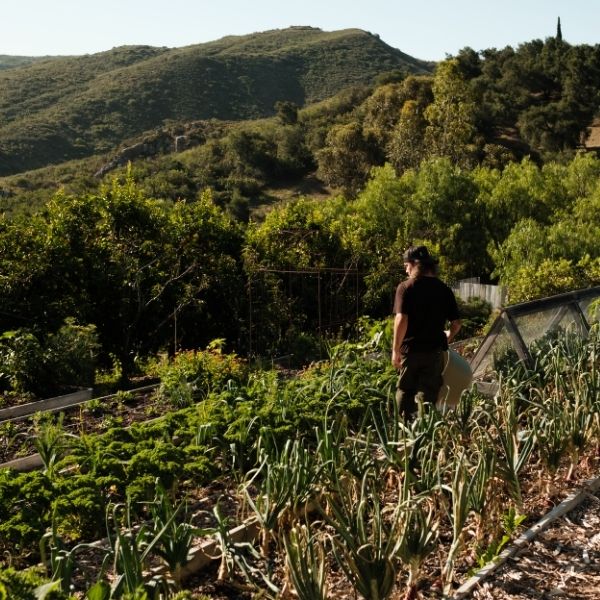The Season to Grow