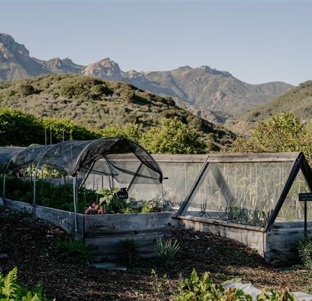 A sustainable garden